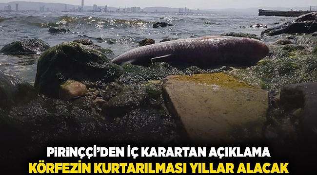 Pirinççi'den iç karartan açıklama: Körfezin kurtarılması yıllar alacak!