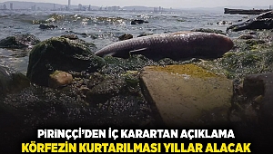 Pirinççi'den iç karartan açıklama: Körfezin kurtarılması yıllar alacak!