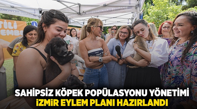 Sahipsiz Köpek Popülasyonu Yönetimi İzmir Eylem Planı hazırlandı