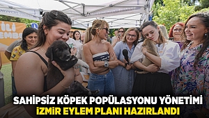 Sahipsiz Köpek Popülasyonu Yönetimi İzmir Eylem Planı hazırlandı