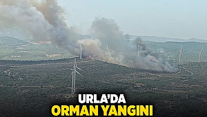 Urla'da orman yangını