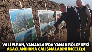 Vali Elban, Yamanlar'da yanan bölgedeki ağaçlandırma çalışmalarını inceledi