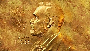 2024 Nobel Tıp Ödülü'nün sahibi belli oldu