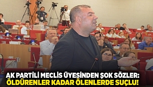 AK Partili Meclis üyesinden şok sözler: öldürenler kadar ölenlerde suçlu!