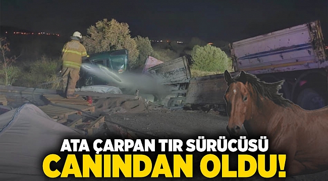 Ata çarpan tır sürücüsü canından oldu!