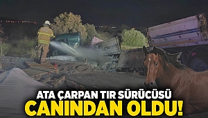 Ata çarpan tır sürücüsü canından oldu!