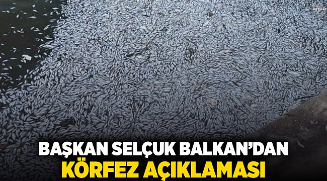 Başkan Selçuk Balkan’dan Körfez açıklaması 