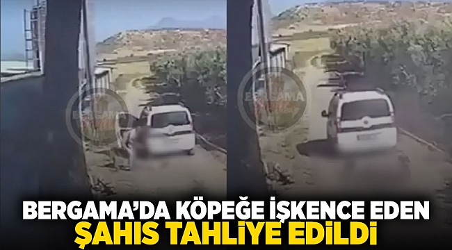 Bergama'da köpeğe işkence eden şahıs tahliye edildi