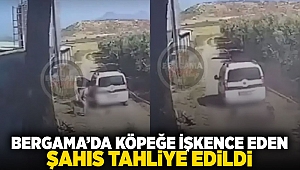 Bergama'da köpeğe işkence eden şahıs tahliye edildi