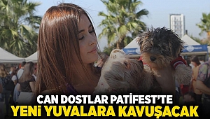 Can dostlar ‘Patifest’te yeni yuvalara kavuşacak