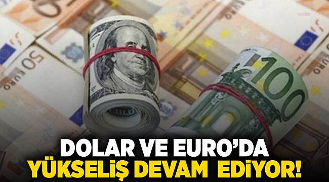 Dolar ve Euro'da yükselişi devam ediyor!