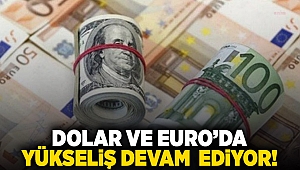 Dolar ve Euro'da yükselişi devam ediyor!