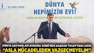 Dünya Hayvanları Koruma Günü’nde Başkan Tugay’dan çağrı: “Asla mücadeleden vazgeçmeyelim”