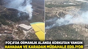 Foça'da ormanlık alanda korkutan yangın: Havadan ve karadan müdahale ediliyor