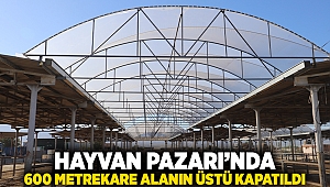 Hayvan Pazarı’nda 600 metrekare alanın üstü kapatıldı