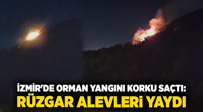 İzmir'de Orman Yangını Korku Saçtı: Rüzgar Alevleri Yaydı