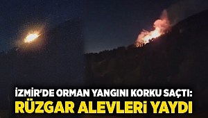 İzmir'de Orman Yangını Korku Saçtı: Rüzgar Alevleri Yaydı