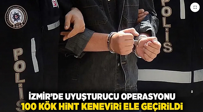 İzmir'de uyuşturucu operasyonu: 100 kök hint keneviri ele geçirildi!