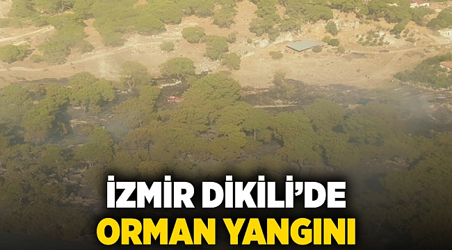 İzmir Dikili’deki orman yangını 3 saatte kontrol altına alındı