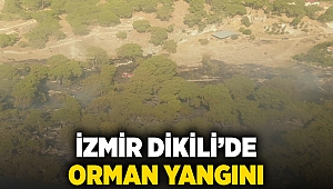 İzmir Dikili’deki orman yangını 3 saatte kontrol altına alındı