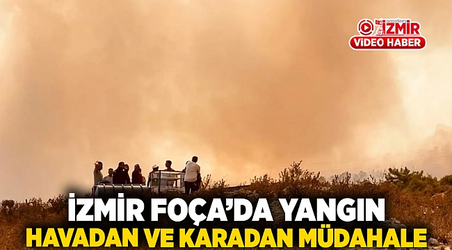 İzmir Foça'da yangın: Havadan ve karadan müdahale