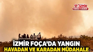 İzmir Foça'da yangın: Havadan ve karadan müdahale