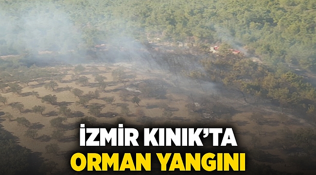 İzmir Kınık’ta orman yangını