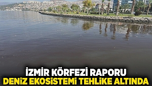 'İzmir Körfezi' raporu: Deniz ekosistemi tehdit altında