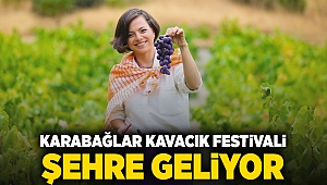 Karabağlar Kavacık festivali şehre geliyor