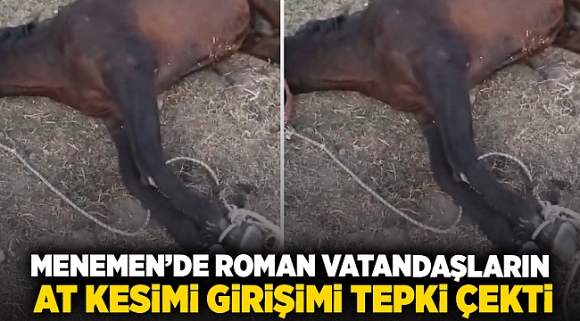 Menemen’de Roman Vatandaşların At Kesimi Girişimi Tepki Çekti