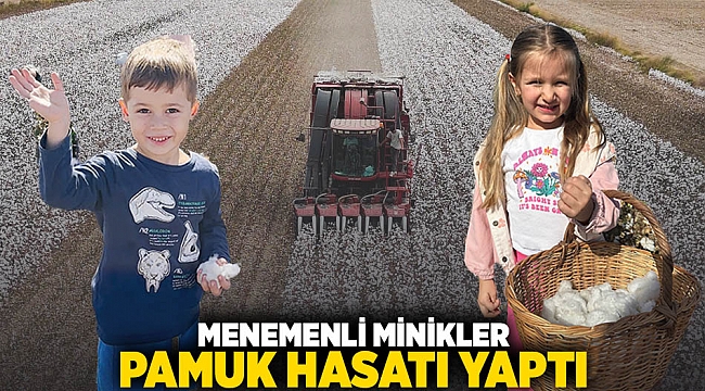 Menemenli minikler Pamuk hasatı yaptı