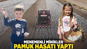 Menemenli minikler Pamuk hasatı yaptı