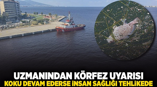 Uzmanından 'Körfez' uyarısı: Koku devam ederse insan sağlığı tehlikede!