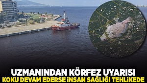 Uzmanından 'Körfez' uyarısı: Koku devam ederse insan sağlığı tehlikede!