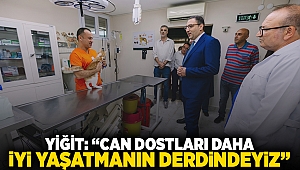 Yiğit: 