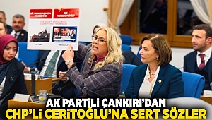 AK Partili Çankırı’dan CHP’li Ceritoğlu’na Sert Sözler