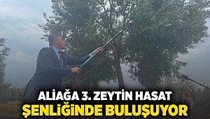 Aliağa 3. Zeytin Hasat Şenliğinde Buluşuyor