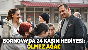 Bornova’da 24 Kasım hediyesi: Ölmez ağaç