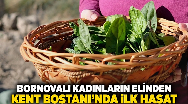 Bornovalı kadınların elinden... Kent Bostanı'nda ilk hasat