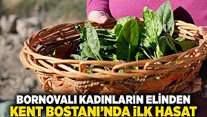 Bornovalı kadınların elinden... Kent Bostanı'nda ilk hasat