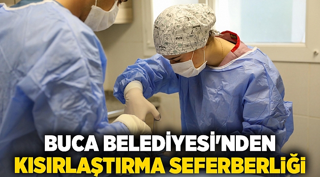 Buca Belediyesi'nden kısırlaştırma seferberliği