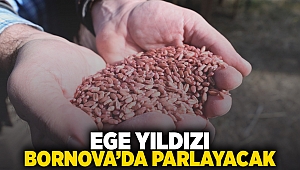 Ege Yıldızı Bornova’da parlayacak