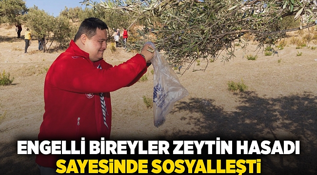 Engelli bireyler zeytin hasadı sayesinde sosyalleşti