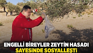 Engelli bireyler zeytin hasadı sayesinde sosyalleşti