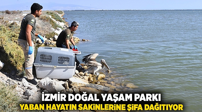 İzmir Doğal Yaşam Parkı yaban hayatın sakinlerine şifa dağıtıyor