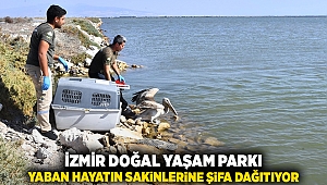 İzmir Doğal Yaşam Parkı yaban hayatın sakinlerine şifa dağıtıyor