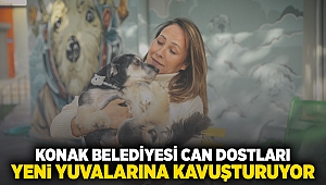 Konak Belediyesi can dostları yeni yuvalarına kavuşturuyor