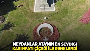 Meydanlar Ata’nın en sevdiği kasımpatı çiçeği ile renklendi 