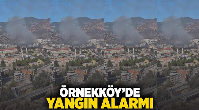 Örnekköy'de yangın alarmı