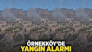 Örnekköy'de yangın alarmı